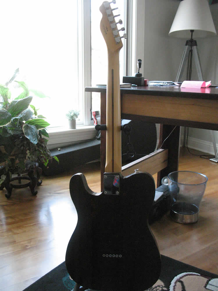 Custom Crafted Electric Guitar for Sale