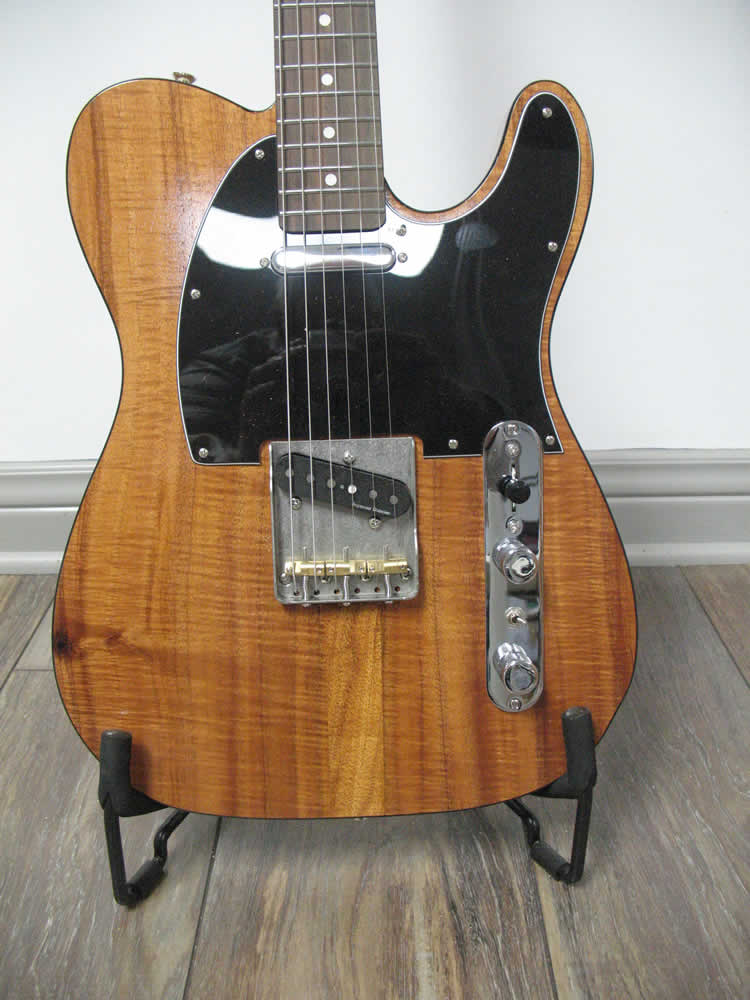 Custom Crafted Electric Guitar for Sale