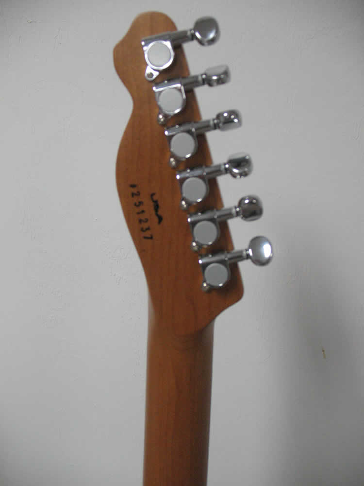 Custom Crafted Electric Guitar for Sale